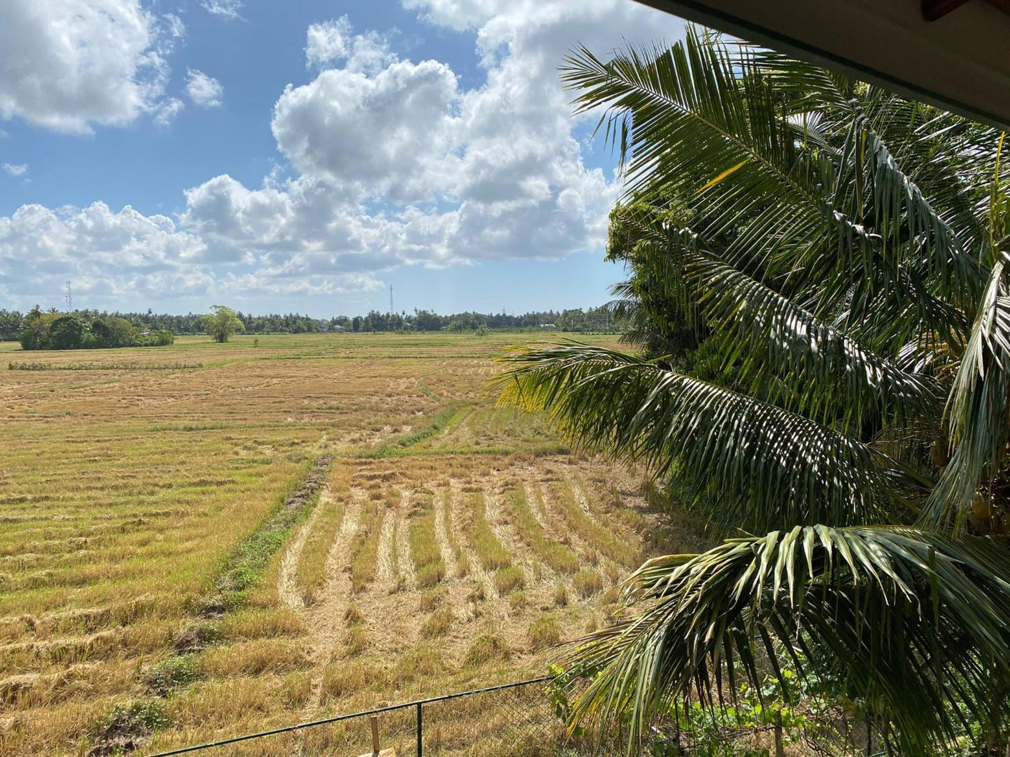 Lavender Home Yala Safari Tissamaharama Exterior photo